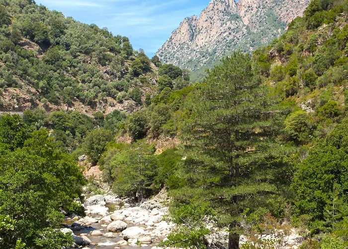 Hotel Kalliste Porto (Corsica)